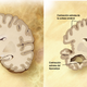 Imagen para el artículo titulado Esta mujer ha evitado contra todo pronóstico el Alzheimer, y ahora la ciencia ha averiguado cómo